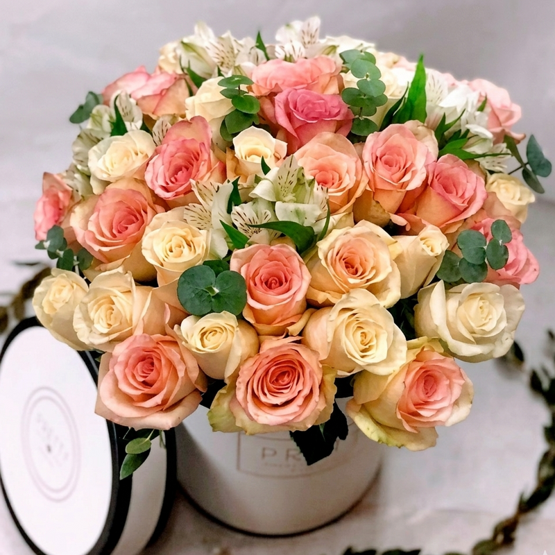 Rose Peach Boks